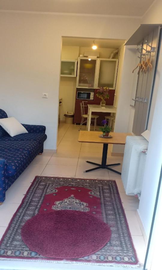 Kaunas Downtown Apartments Eksteriør bilde