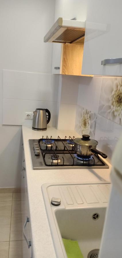 Kaunas Downtown Apartments Eksteriør bilde